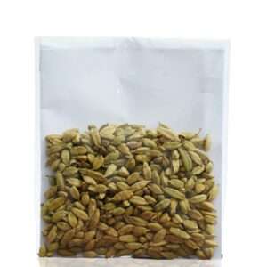 Choti Elaichi Indian - Cardamom