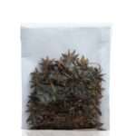 Badiyan - Star Anise